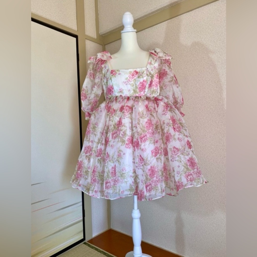 ⭐️FANCIFUL DOLL⭐️ Roses and Cream PUFF dress